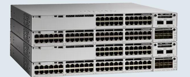 Cisco C9300 Switch Selected Information