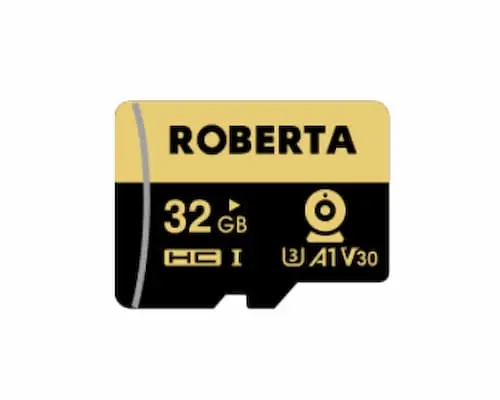 ROBERTA 32GB Memory Cards
