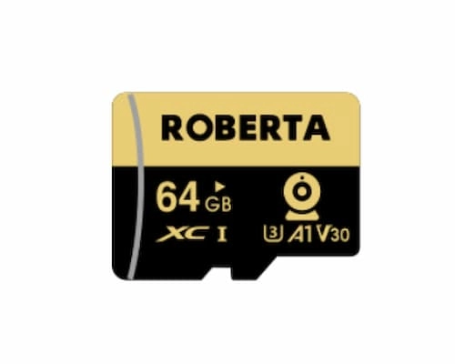 ROBERTA 64GB Memory Cards